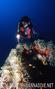 scuba diving photo