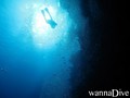 scuba diving photo