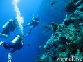 scuba diving photo