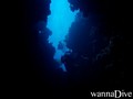 scuba diving photo