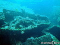 scuba diving photo