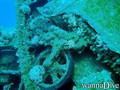 scuba diving photo