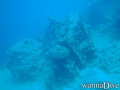 scuba diving photo