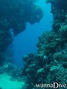 scuba diving photo