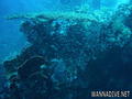 scuba diving photo