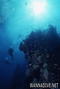scuba diving photo