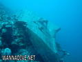 scuba diving photo