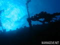 scuba diving photo