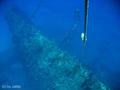 scuba diving photo