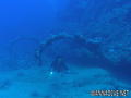 scuba diving photo