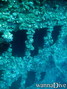 scuba diving photo