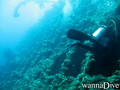 scuba diving photo