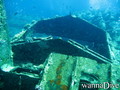 scuba diving photo