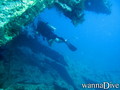 scuba diving photo