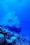 scuba diving photo