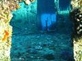 scuba diving photo