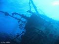scuba diving photo