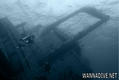 scuba diving photo