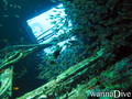 scuba diving photo