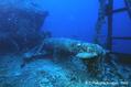 scuba diving photo