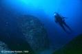 scuba diving photo