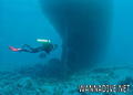 scuba diving photo