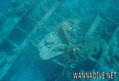 scuba diving photo