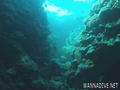 scuba diving photo