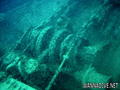 scuba diving photo