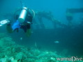 scuba diving photo