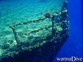 scuba diving photo