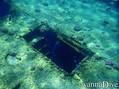 scuba diving photo