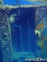 scuba diving photo