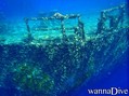 scuba diving photo