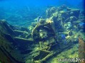 scuba diving photo