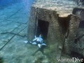 scuba diving photo