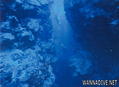 scuba diving photo