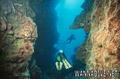 scuba diving photo