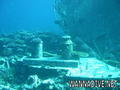 scuba diving photo