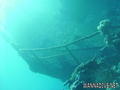 scuba diving photo