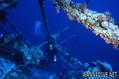 scuba diving photo