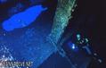 scuba diving photo