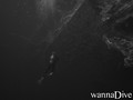 scuba diving photo