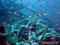 scuba diving photo