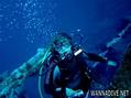 scuba diving photo