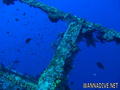 scuba diving photo