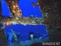 scuba diving photo
