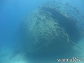 scuba diving photo