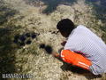 scuba diving photo