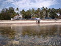 scuba diving photo